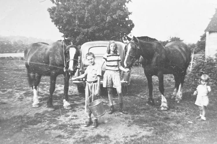 Tall, thin teen girl in front of old car with farm horses on either side, young boy holding bucket in front, and toddler off to side